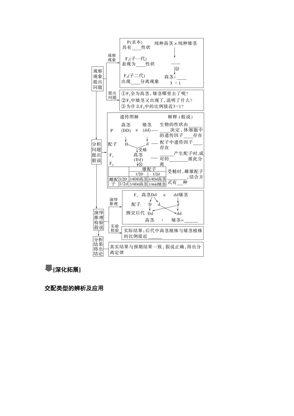 2026版《课堂新坐标》高三生物学一轮复习单选版25必修2第四单元第17讲基因的分离定律(1).docx_第3页