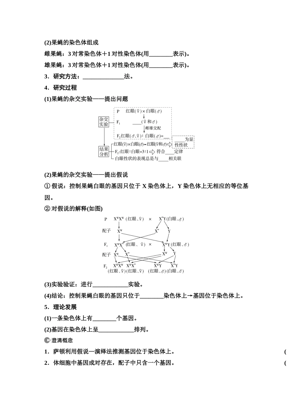 2026版《课堂新坐标》高三生物学一轮复习单选版31必修2第四单元第23讲基因在染色体上和伴性遗传(1).docx_第2页