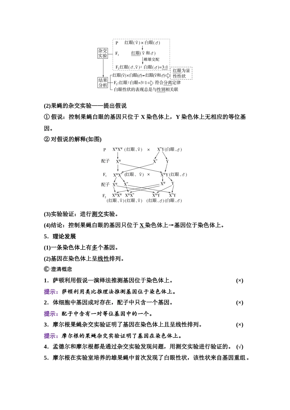 2026版《课堂新坐标》高三生物学一轮复习单选版31必修2第四单元第23讲基因在染色体上和伴性遗传.docx_第2页