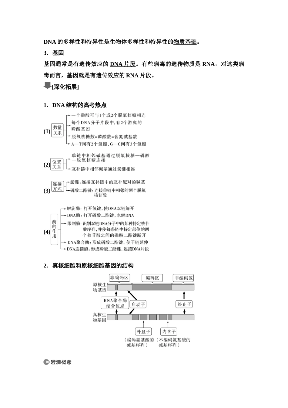 2026版《课堂新坐标》高三生物学一轮复习单选版36必修2第五单元第26讲DNA的结构、复制和基因的本质.docx_第3页