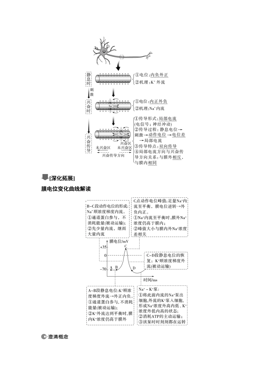 2026版《课堂新坐标》高三生物学一轮复习单选版49选择性必修1第七单元第34讲神经冲动的产生、传导和传递.docx_第2页