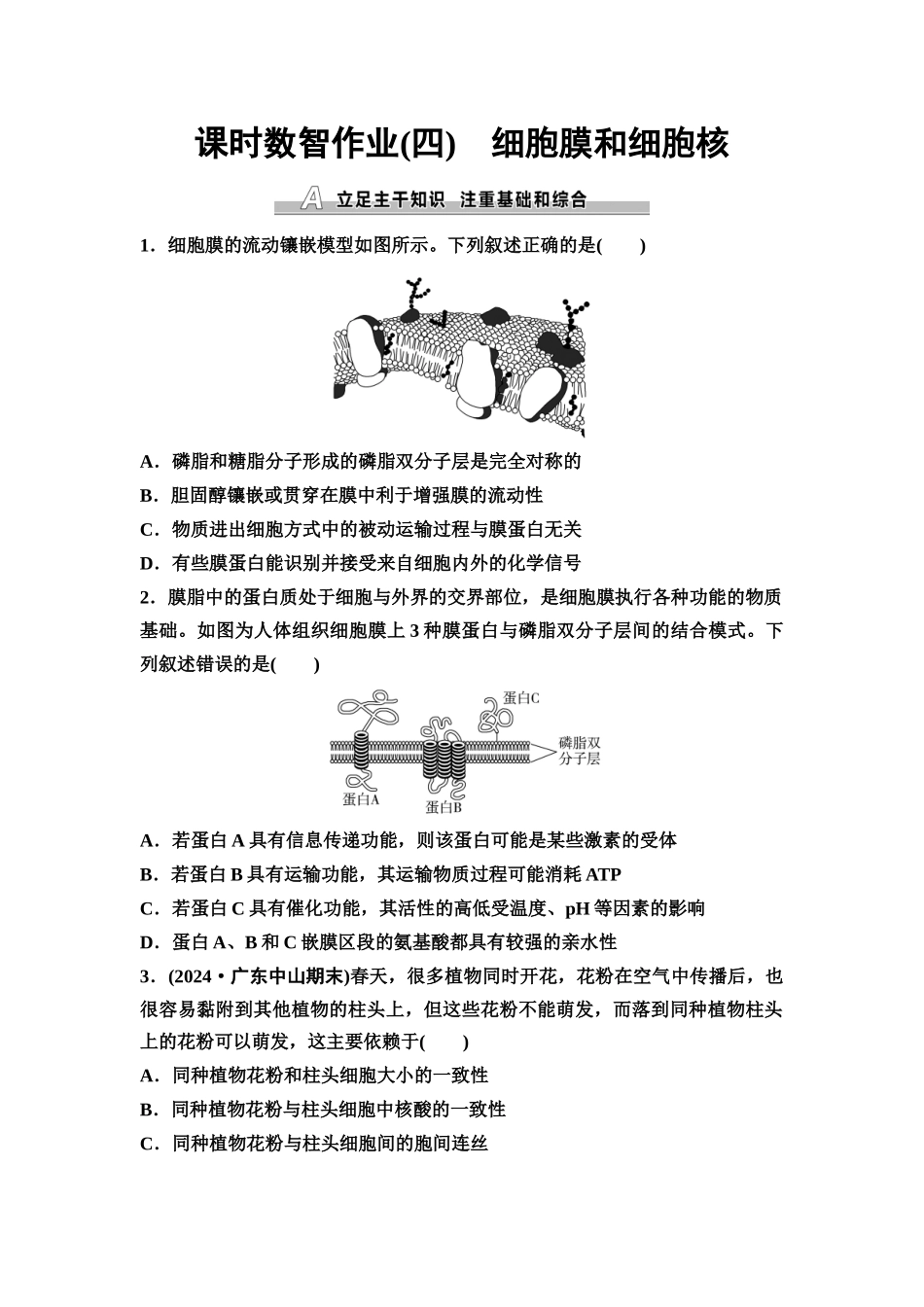 2026版《课堂新坐标》高三生物学一轮复习单选版课时数智作业4细胞膜和细胞核.docx_第1页