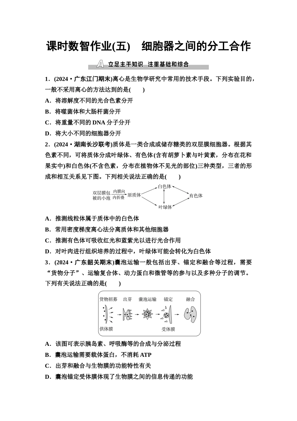 2026版《课堂新坐标》高三生物学一轮复习单选版课时数智作业5细胞器之间的分工合作.docx_第1页
