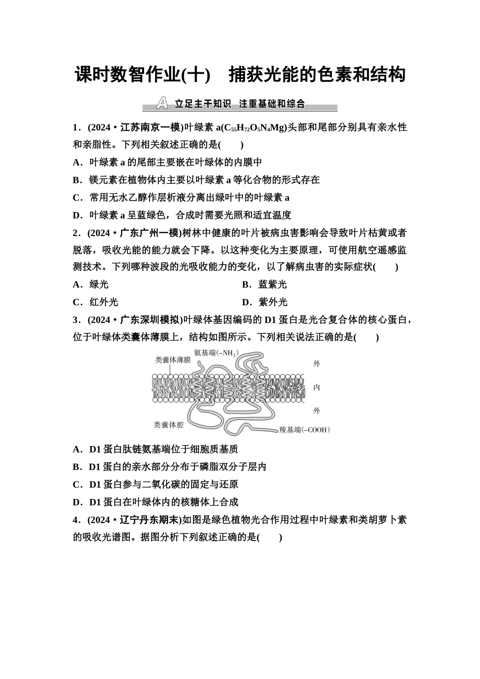 2026版《课堂新坐标》高三生物学一轮复习单选版课时数智作业10捕获光能的色素和结构.docx_第1页