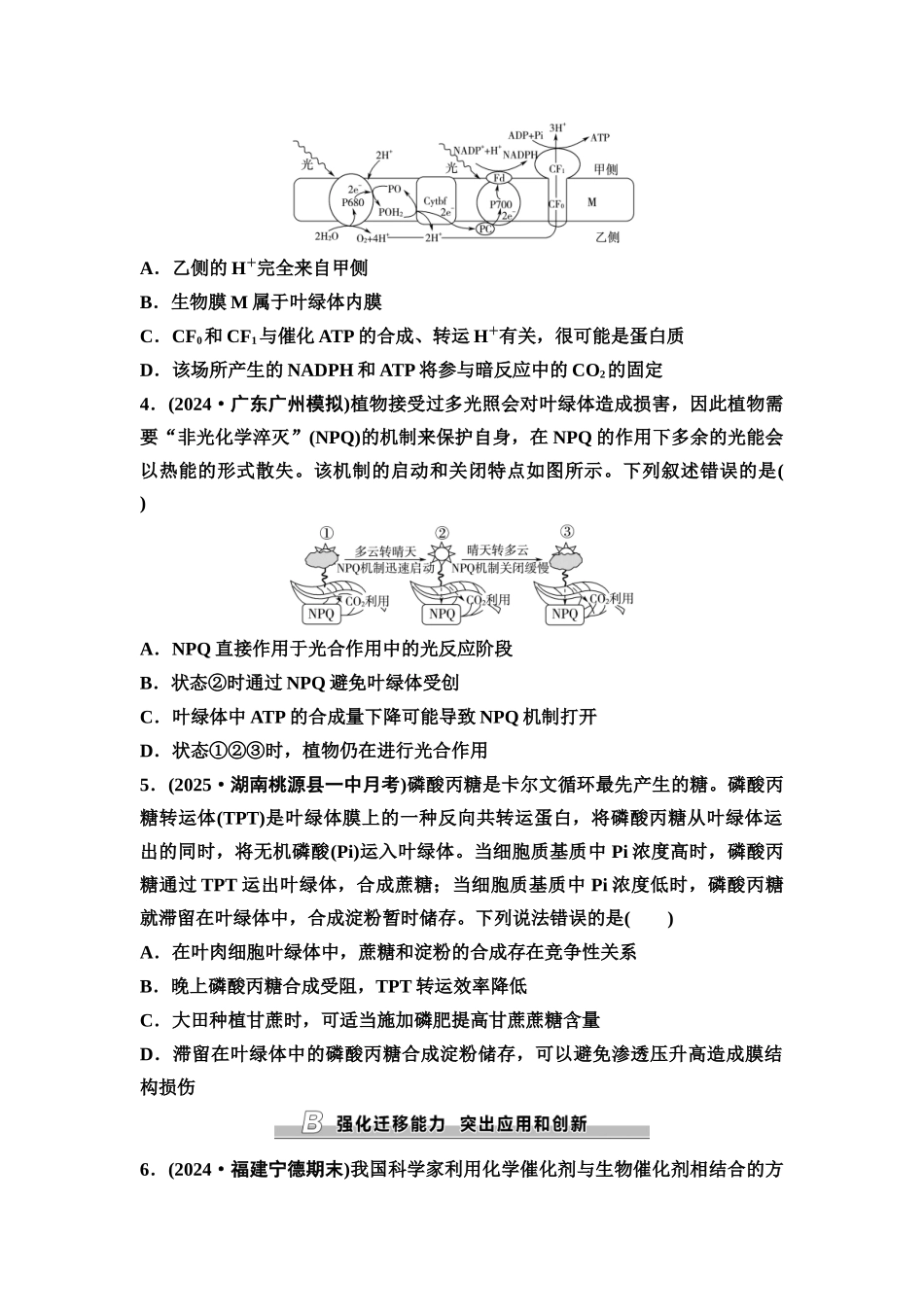 2026版《课堂新坐标》高三生物学一轮复习单选版课时数智作业11光合作用的原理.docx_第2页