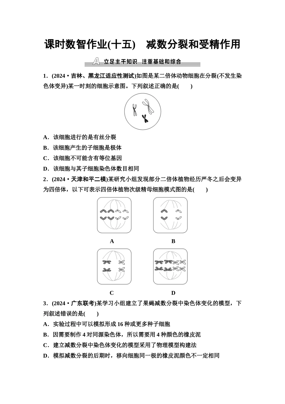 2026版《课堂新坐标》高三生物学一轮复习单选版课时数智作业15减数分裂和受精作用.docx_第1页