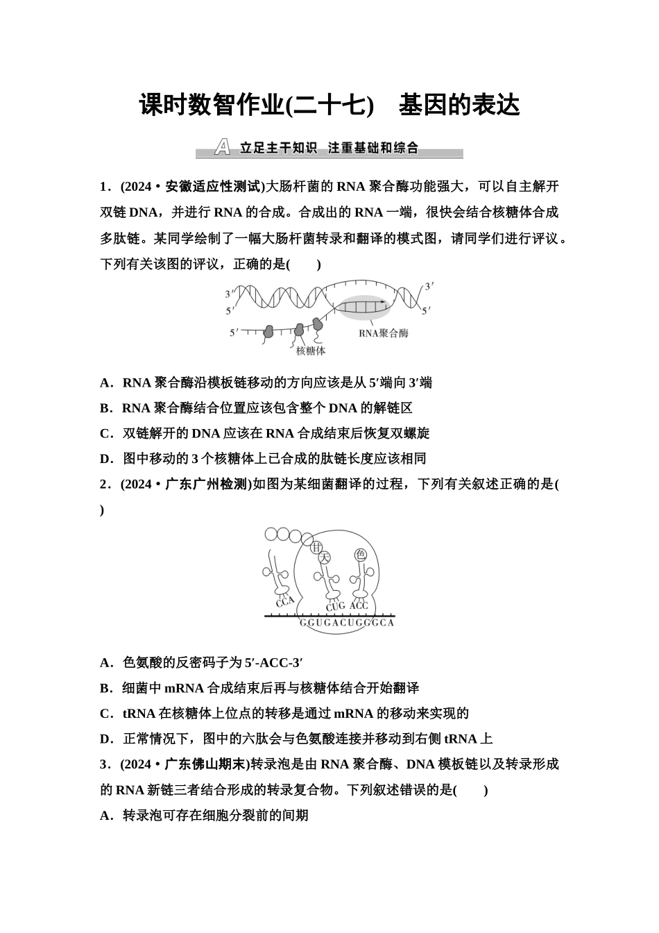 2026版《课堂新坐标》高三生物学一轮复习单选版课时数智作业27基因的表达.docx_第1页