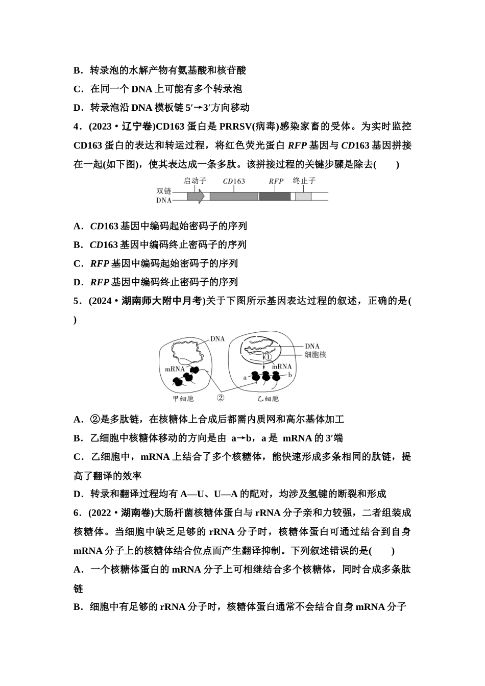 2026版《课堂新坐标》高三生物学一轮复习单选版课时数智作业27基因的表达.docx_第2页