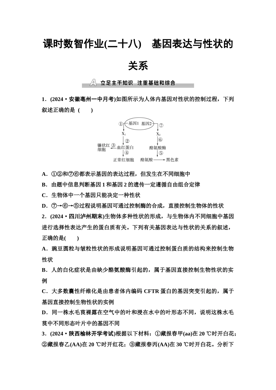 2026版《课堂新坐标》高三生物学一轮复习单选版课时数智作业28基因表达与性状的关系.docx_第1页