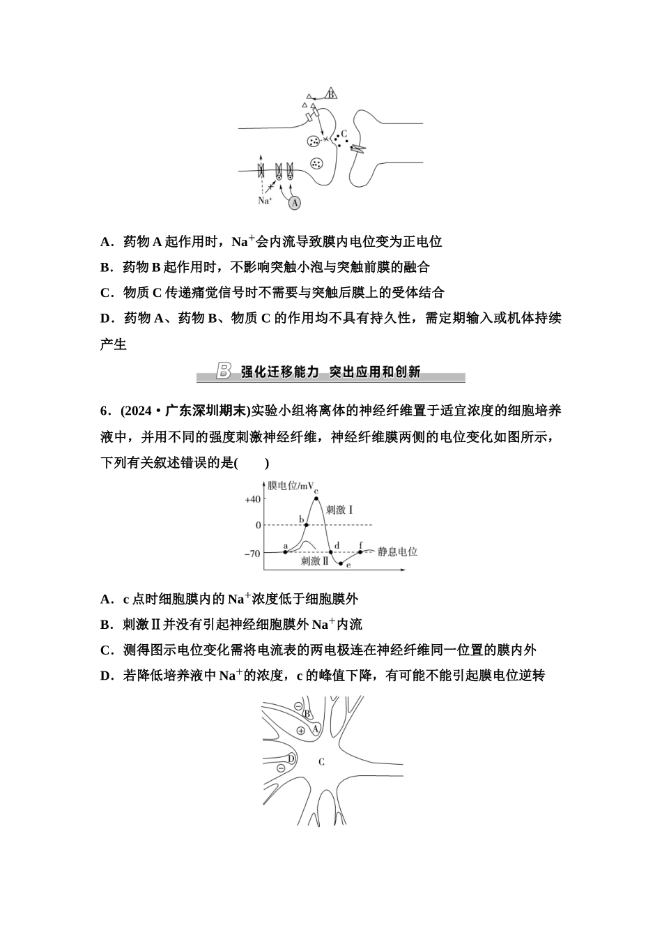 2026版《课堂新坐标》高三生物学一轮复习单选版课时数智作业34神经冲动的产生、传导和传递.docx_第3页