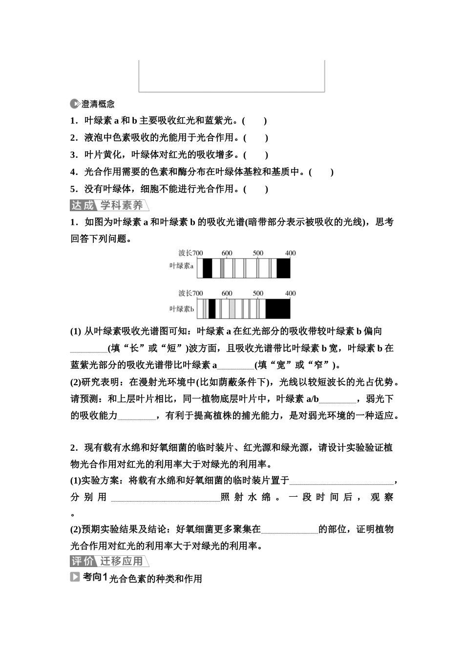 2026版《课堂新坐标》高三生物学一轮复习江苏专版13必修1第二单元第11讲捕获光能的色素和结构(1).docx_第3页