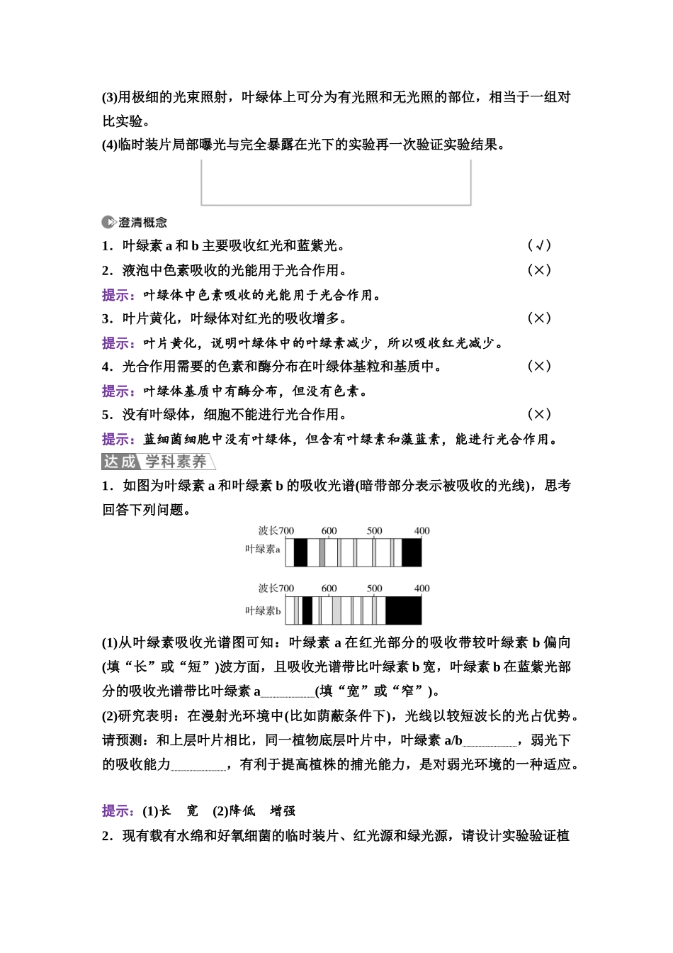2026版《课堂新坐标》高三生物学一轮复习江苏专版13必修1第二单元第11讲捕获光能的色素和结构.docx_第3页