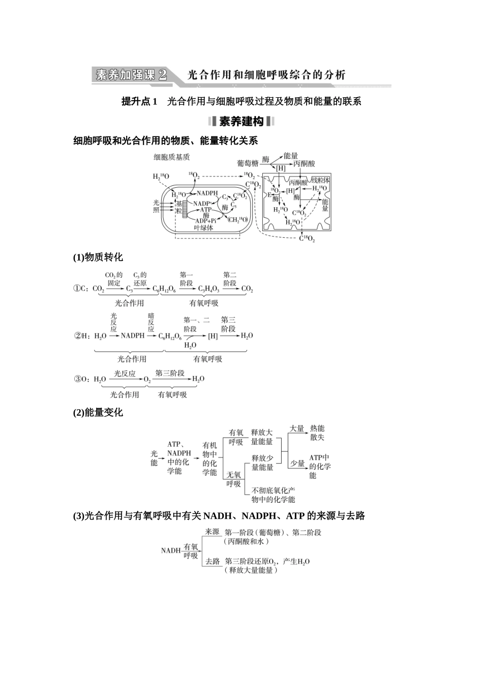 2026版《课堂新坐标》高三生物学一轮复习江苏专版16必修1第二单元素养加强课2光合作用和细胞呼吸综合的分析(1).docx_第1页