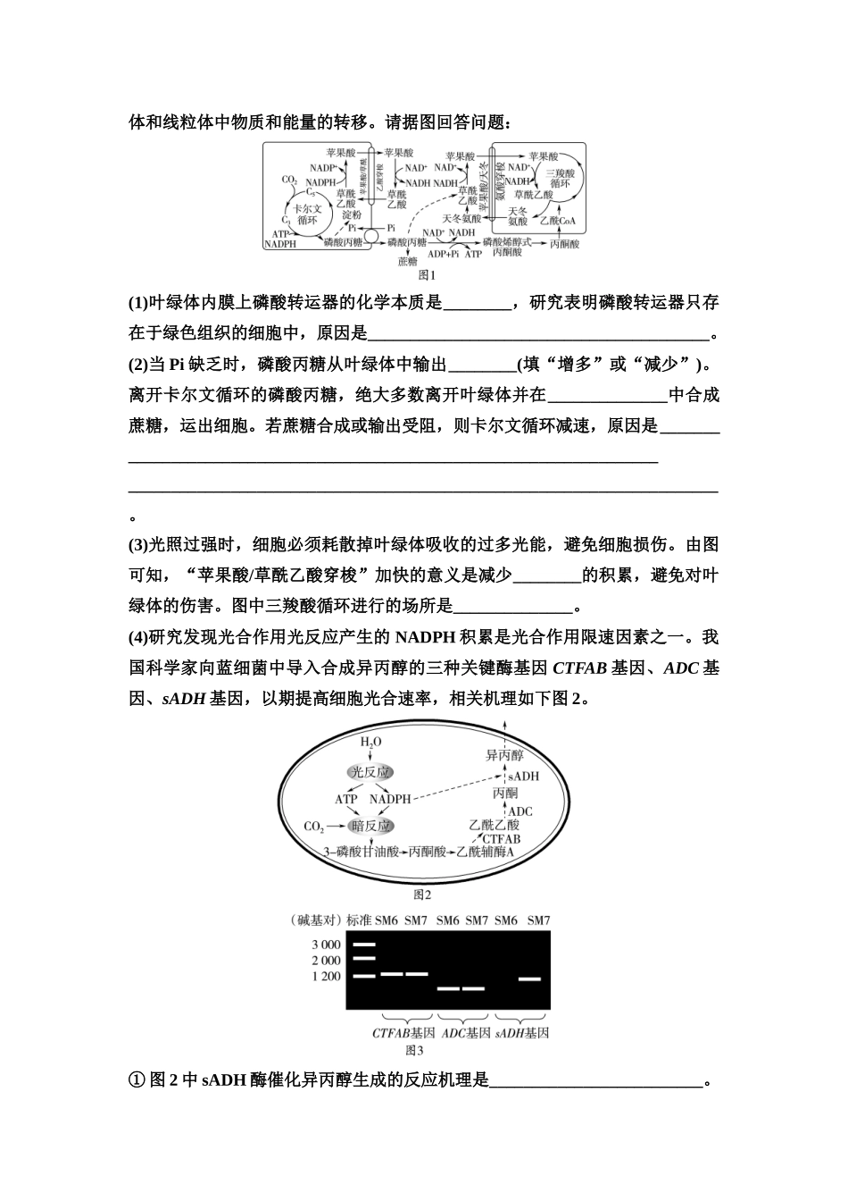 2026版《课堂新坐标》高三生物学一轮复习江苏专版16必修1第二单元素养加强课2光合作用和细胞呼吸综合的分析(1).docx_第3页