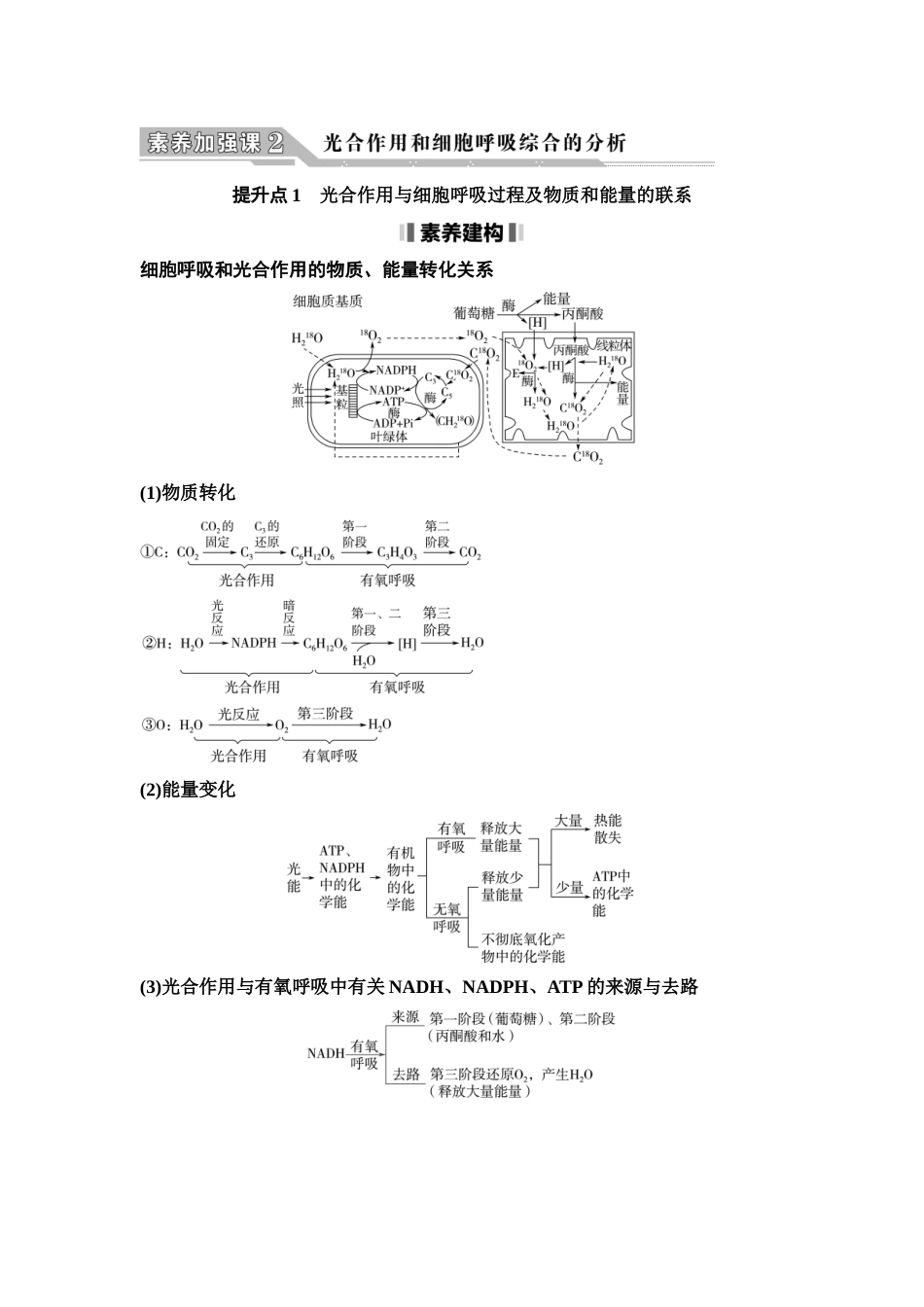 2026版《课堂新坐标》高三生物学一轮复习江苏专版16必修1第二单元素养加强课2光合作用和细胞呼吸综合的分析.docx_第1页