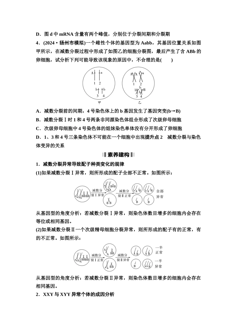 2026版《课堂新坐标》高三生物学一轮复习江苏专版21必修1第三单元素养加强课3细胞分裂与可遗传变异(1).docx_第3页