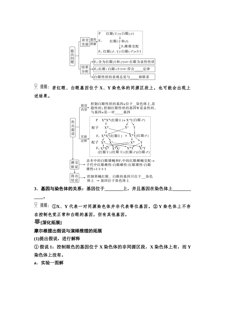 2026版《课堂新坐标》高三生物学一轮复习江苏专版29必修1第四单元第23讲基因在染色体上和伴性遗传(1).docx_第2页