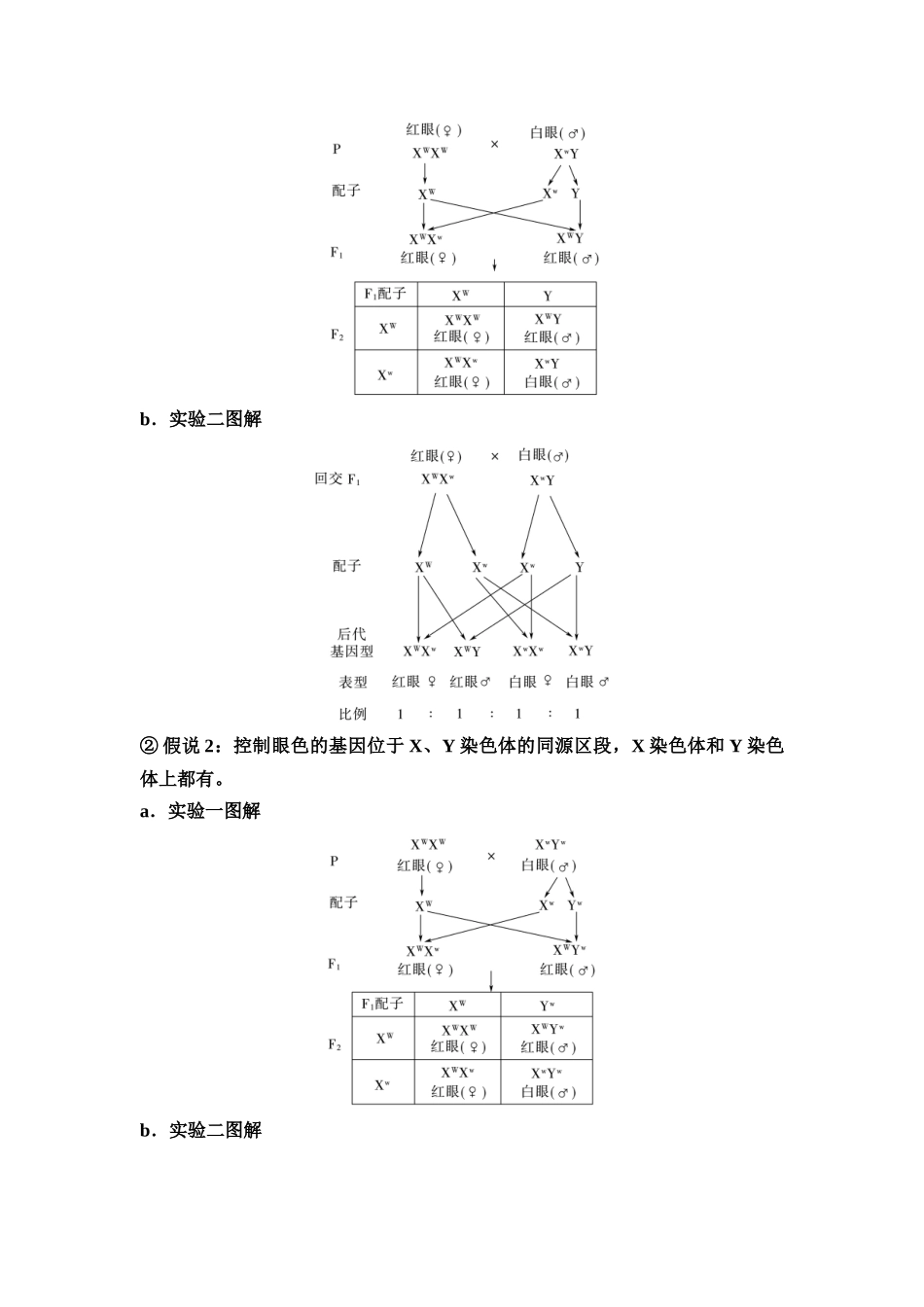 2026版《课堂新坐标》高三生物学一轮复习江苏专版29必修1第四单元第23讲基因在染色体上和伴性遗传(1).docx_第3页