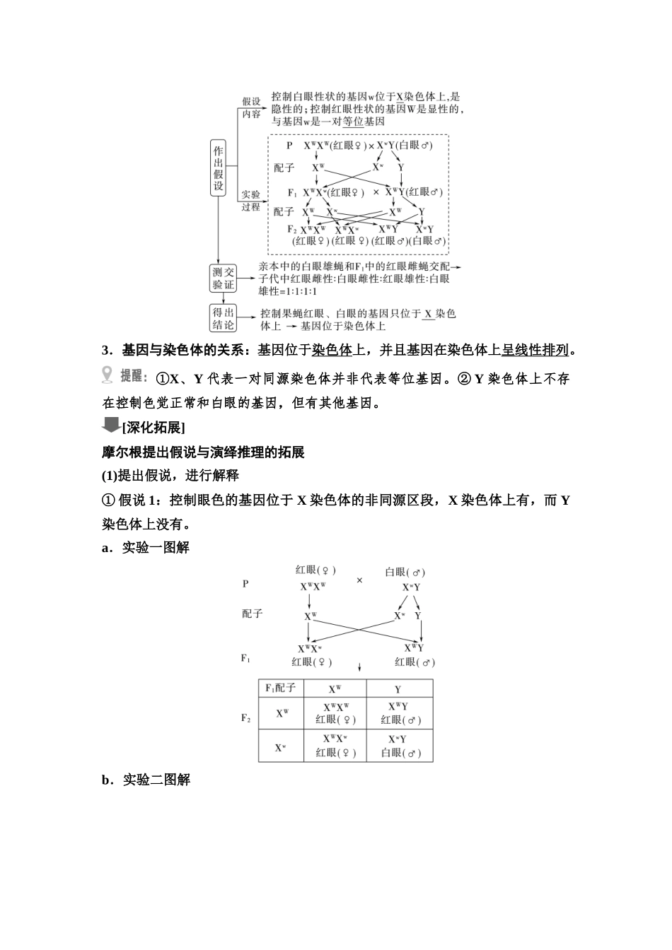 2026版《课堂新坐标》高三生物学一轮复习江苏专版29必修1第四单元第23讲基因在染色体上和伴性遗传.docx_第2页