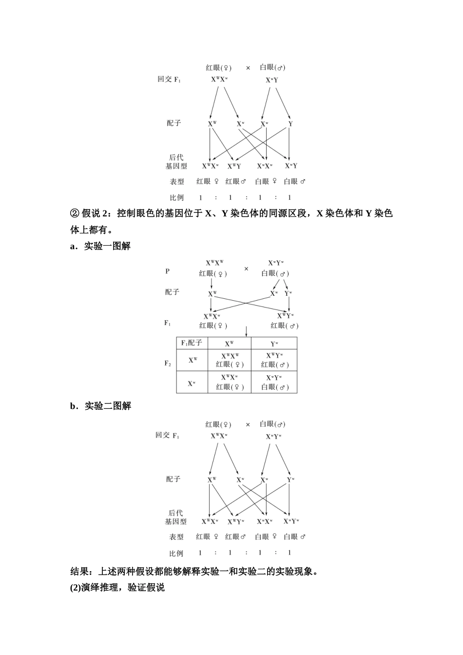 2026版《课堂新坐标》高三生物学一轮复习江苏专版29必修1第四单元第23讲基因在染色体上和伴性遗传.docx_第3页