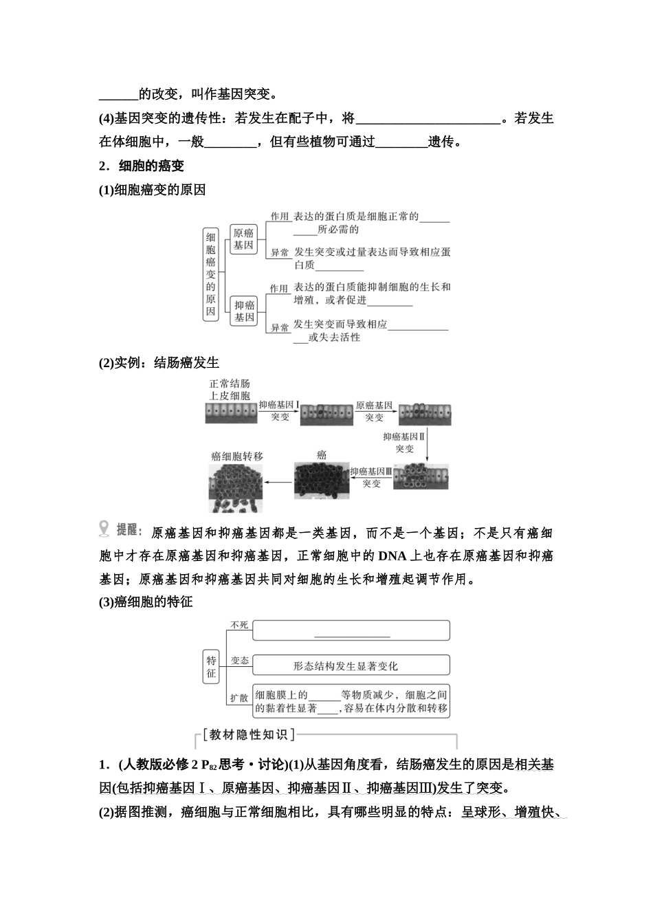 2026版《课堂新坐标》高三生物学一轮复习江苏专版38必修2第六单元第29讲基因突变和基因重组(1).docx_第2页