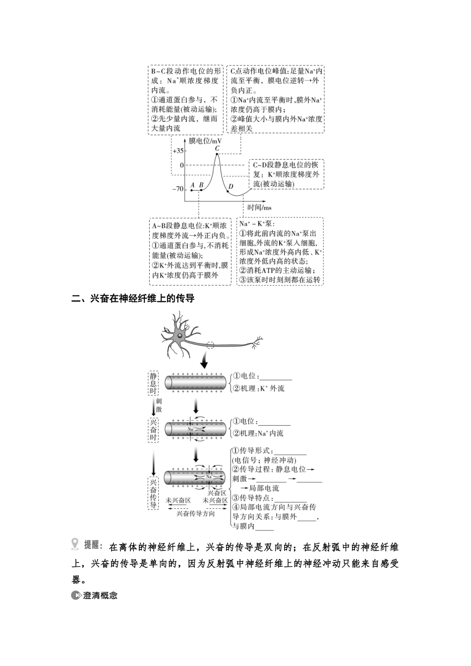 2026版《课堂新坐标》高三生物学一轮复习江苏专版45选择性必修1第七单元第34讲神经冲动的产生、传导和传递(1).docx_第3页