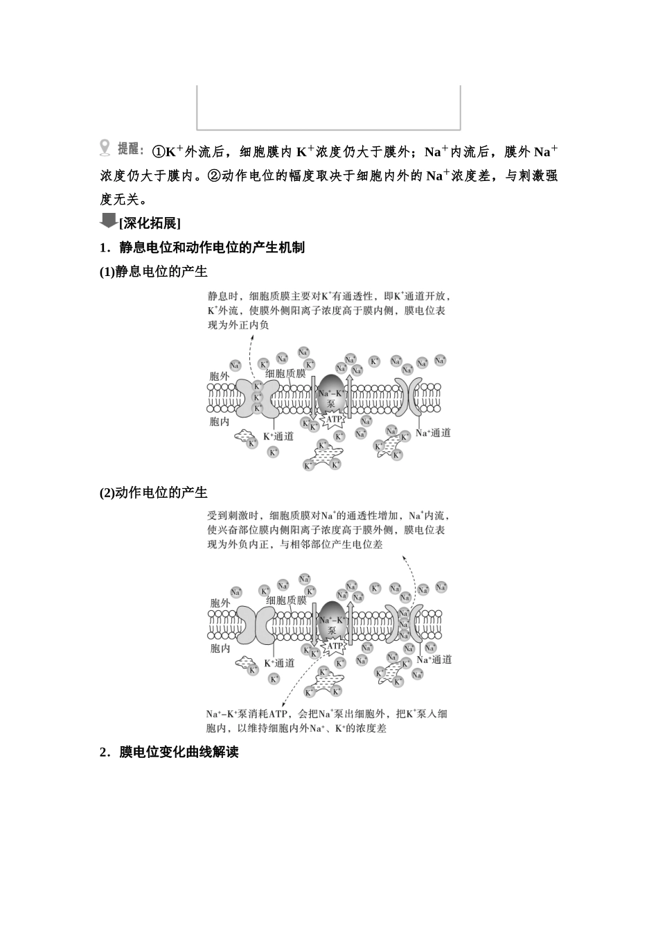 2026版《课堂新坐标》高三生物学一轮复习江苏专版45选择性必修1第七单元第34讲神经冲动的产生、传导和传递.docx_第2页