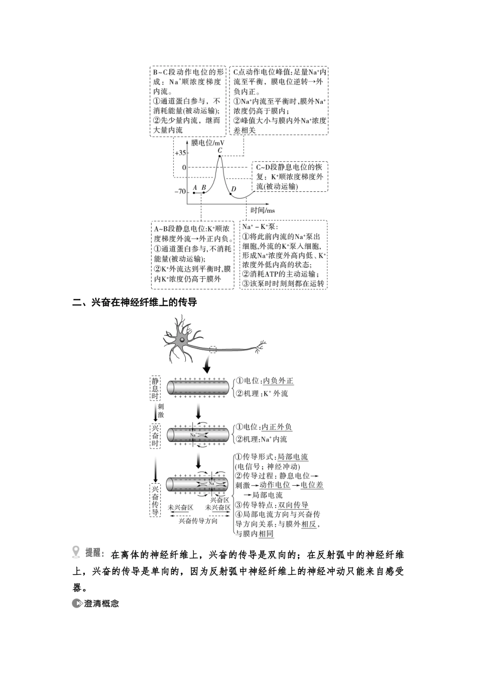 2026版《课堂新坐标》高三生物学一轮复习江苏专版45选择性必修1第七单元第34讲神经冲动的产生、传导和传递.docx_第3页