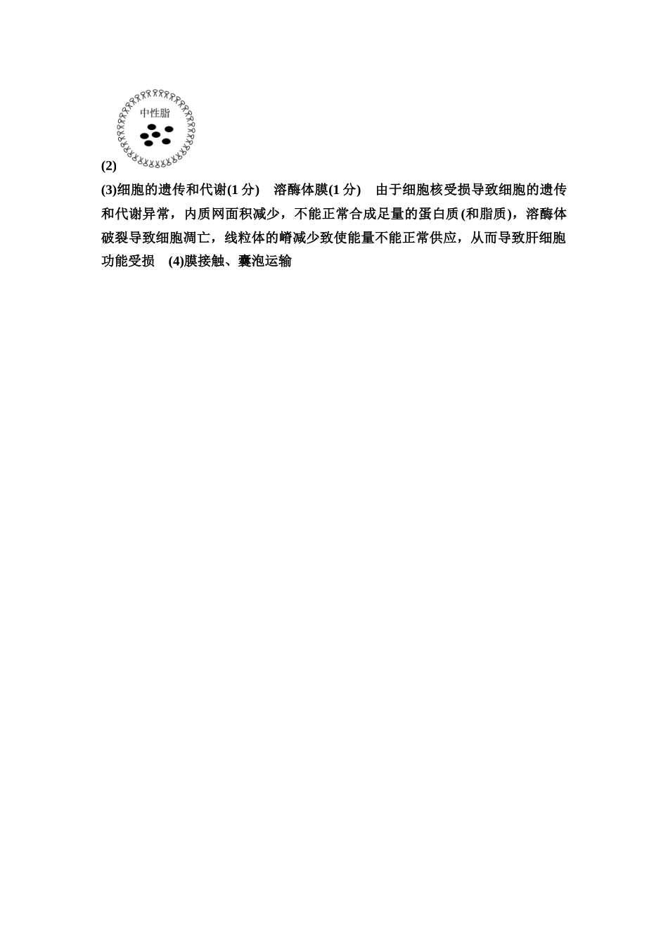 2026版《课堂新坐标》高三生物学一轮复习江苏专版课时分层作业5参考答案与精析.docx_第3页