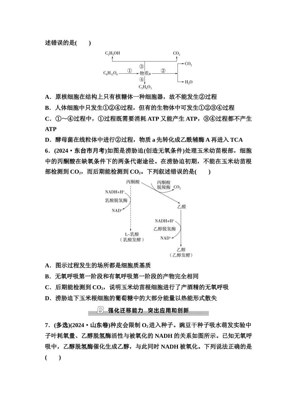 2026版《课堂新坐标》高三生物学一轮复习江苏专版课时分层作业10细胞呼吸的原理和应用.docx_第2页