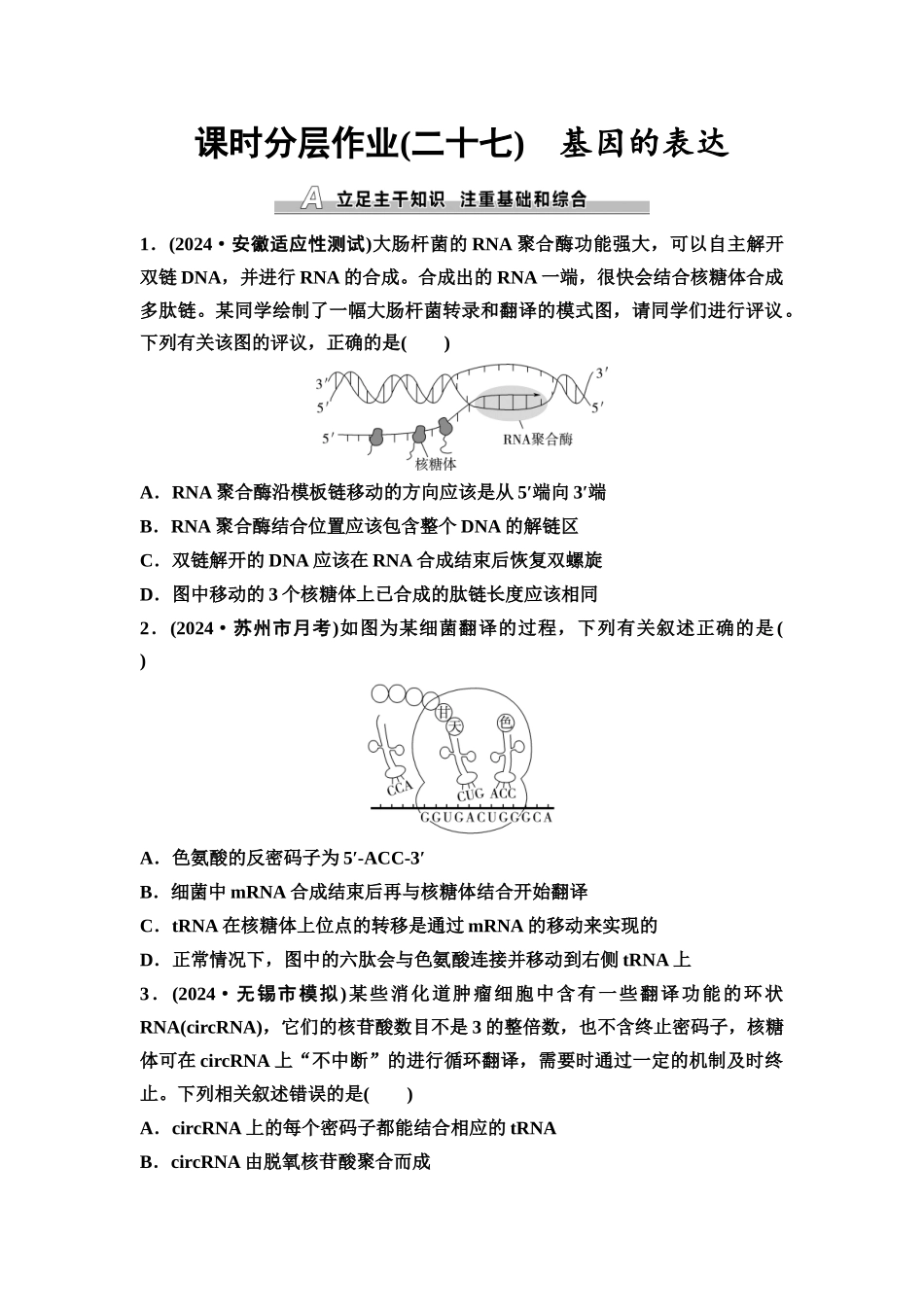2026版《课堂新坐标》高三生物学一轮复习江苏专版课时分层作业27基因的表达.docx_第1页