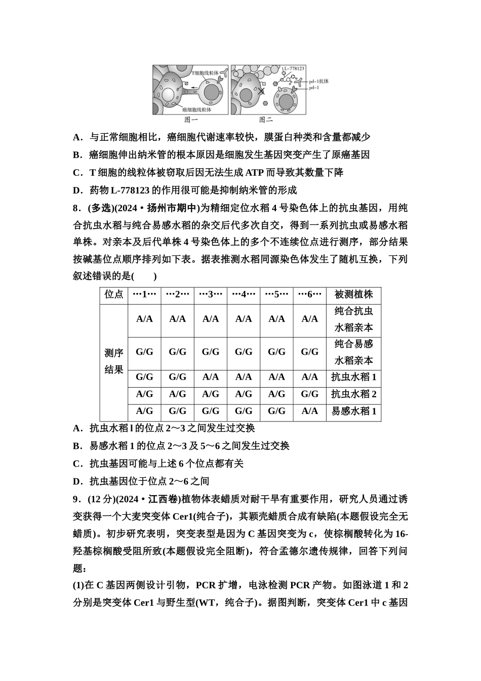 2026版《课堂新坐标》高三生物学一轮复习江苏专版课时分层作业29基因突变和基因重组.docx_第3页