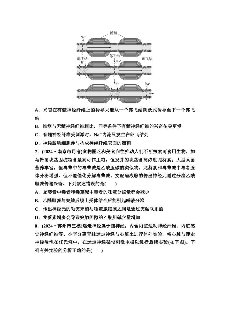 2026版《课堂新坐标》高三生物学一轮复习江苏专版课时分层作业34神经冲动的产生、传导和传递.docx_第3页