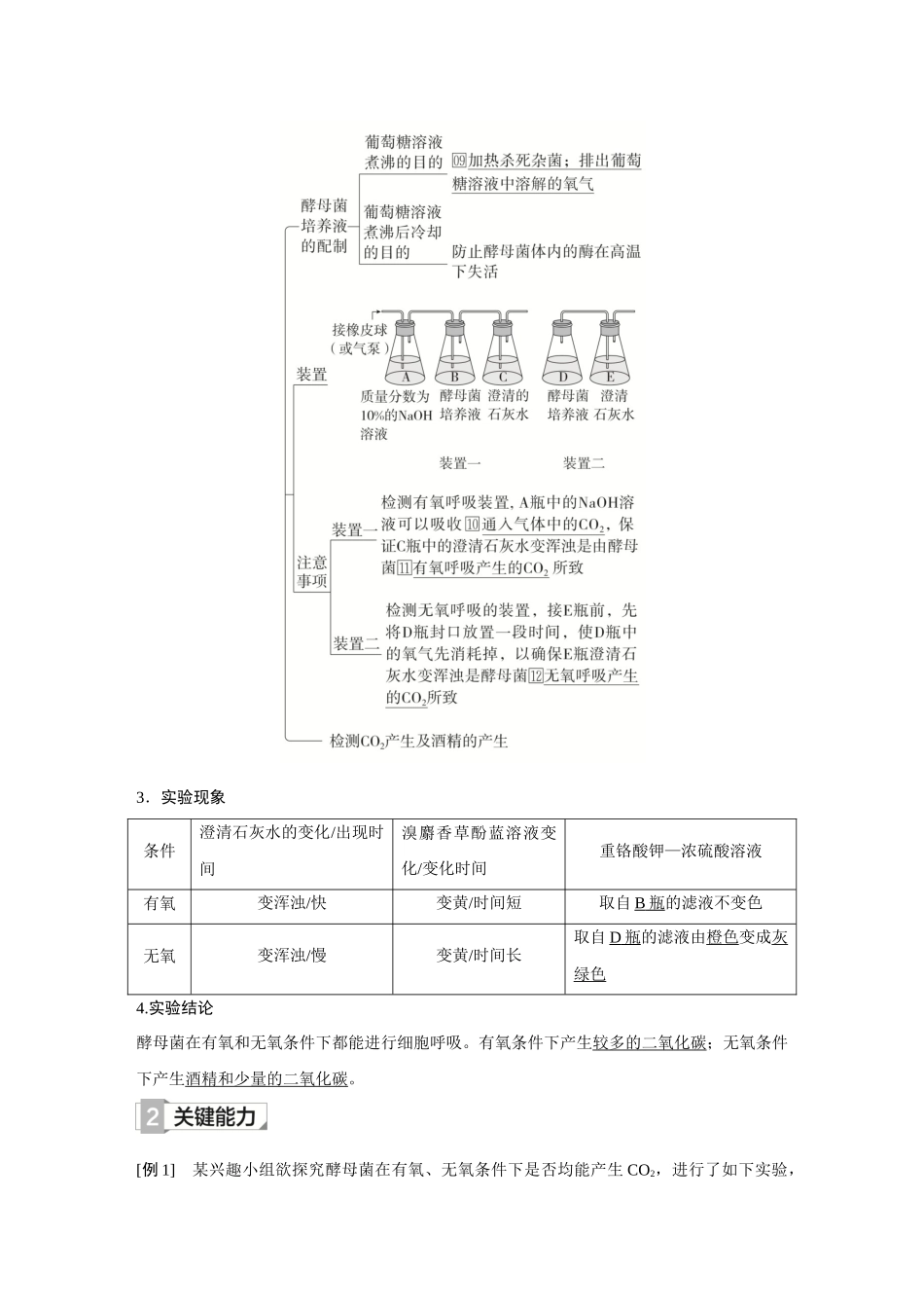 2026《金版教程》高考复习方案生物创新不定项版-第8讲 细胞呼吸.docx_第3页