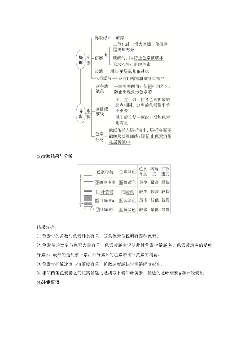 2026《金版教程》高考复习方案生物创新不定项版-第9讲 光合作用.docx_第3页