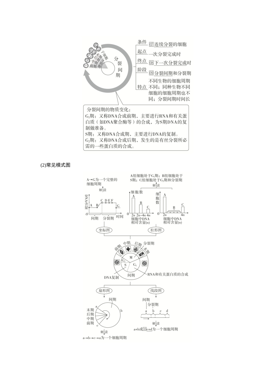 2026《金版教程》高考复习方案生物创新不定项版-第10讲 细胞的增殖.docx_第3页