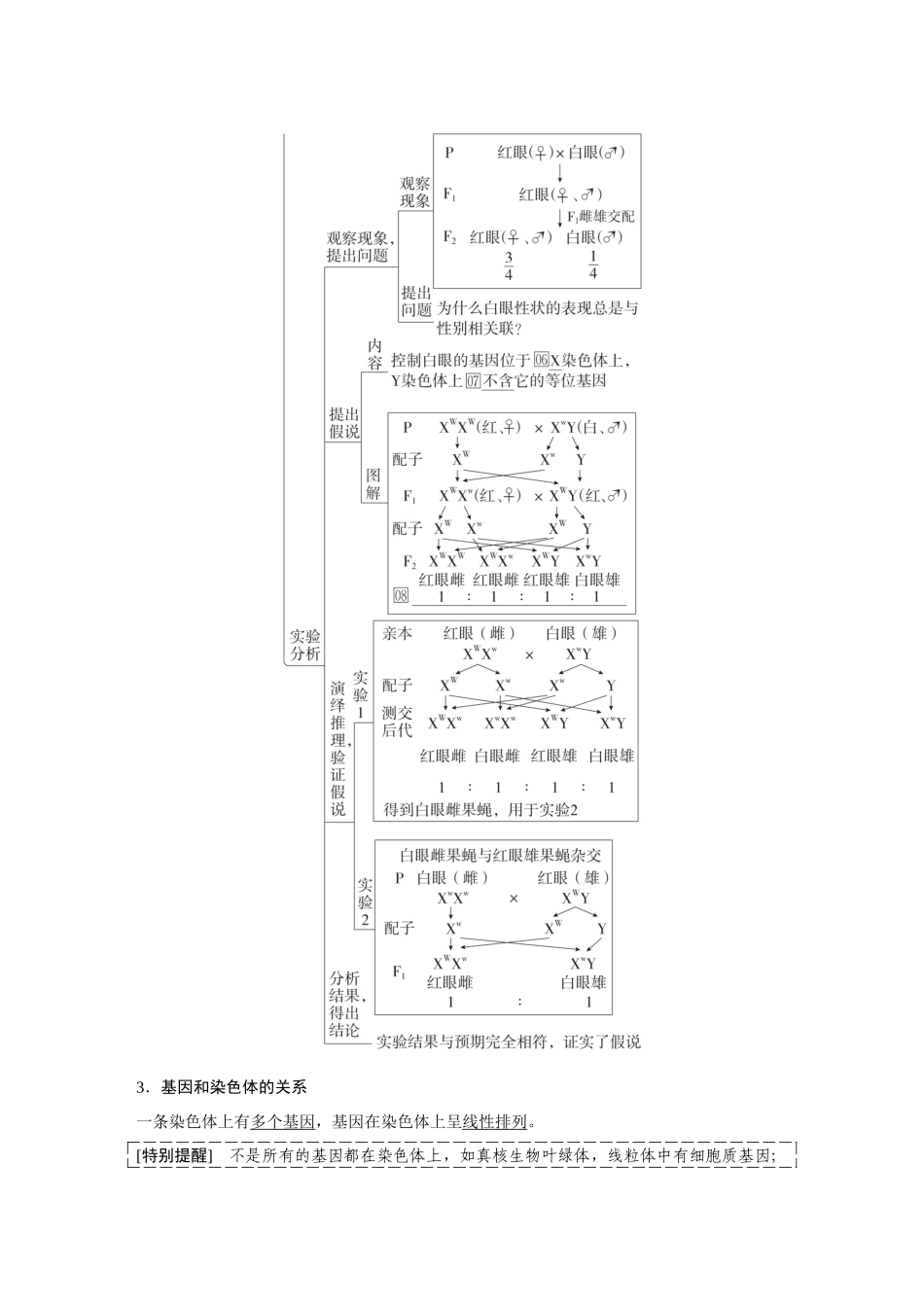 2026《金版教程》高考复习方案生物创新不定项版-第15讲 基因在染色体上、伴性遗传及人类遗传病.docx_第2页