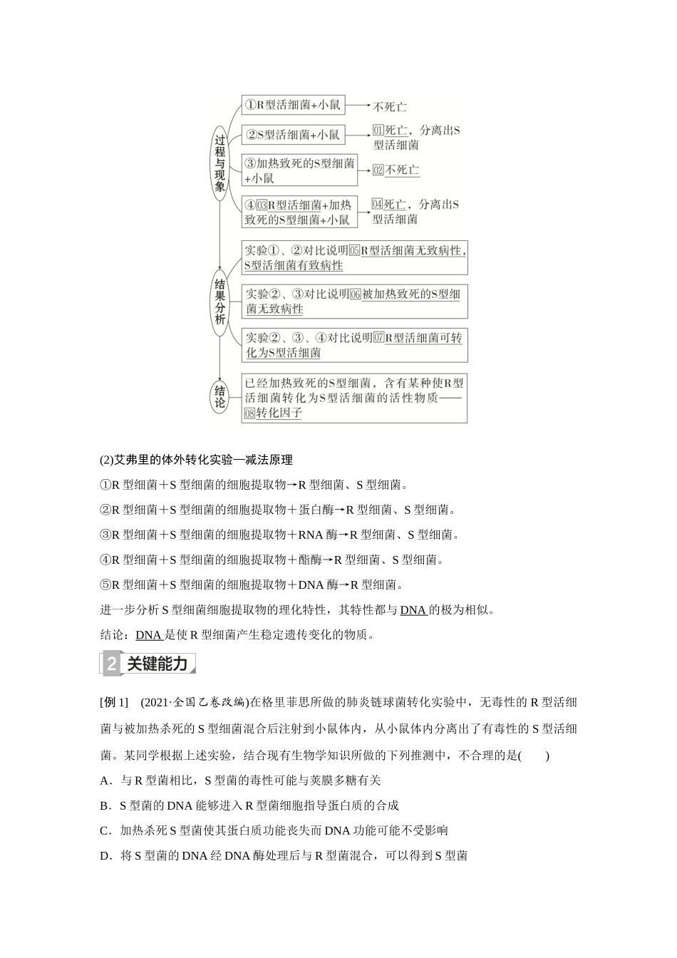 2026《金版教程》高考复习方案生物创新不定项版-第16讲 DNA是主要的遗传物质.docx_第3页