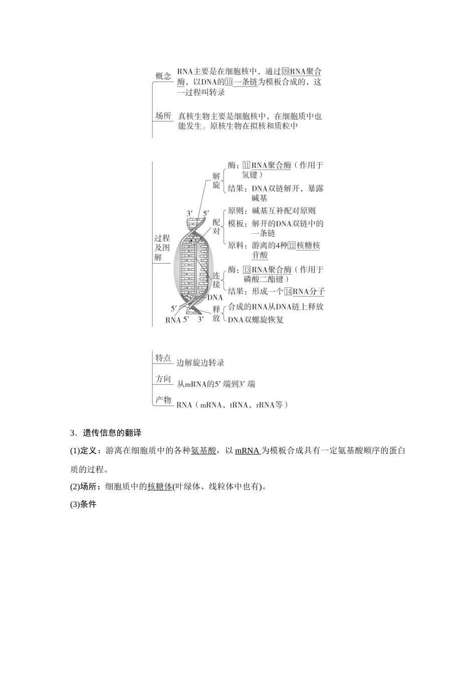2026《金版教程》高考复习方案生物创新不定项版-第18讲 基因的表达.docx_第3页
