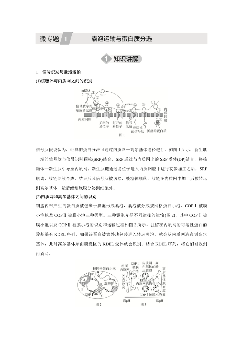 2026《金版教程》高考复习方案生物创新不定项版-微专题1 囊泡细胞与蛋白质分选.docx_第1页
