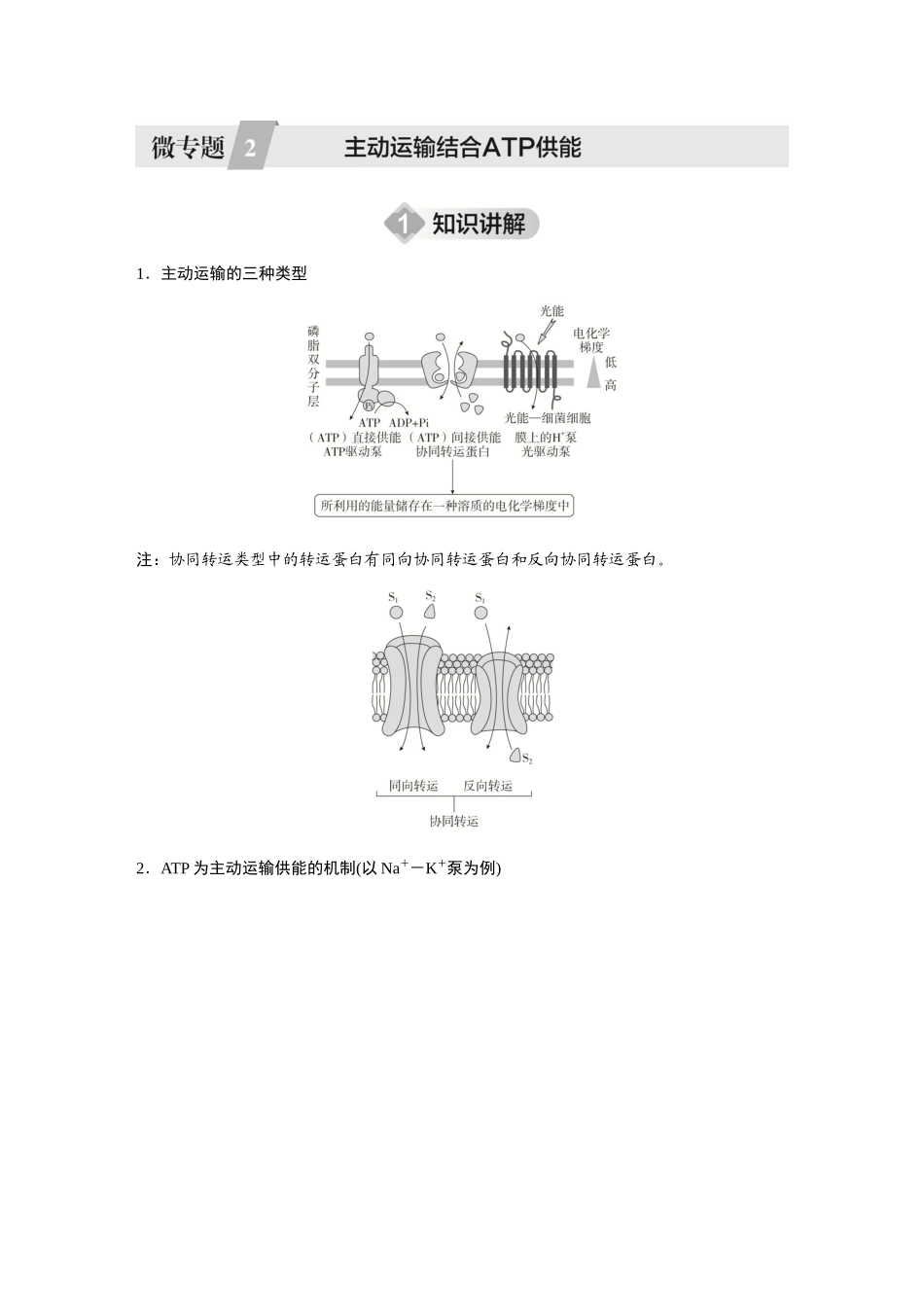 2026《金版教程》高考复习方案生物创新不定项版-微专题2 主动运输结合ATP供能.docx_第1页