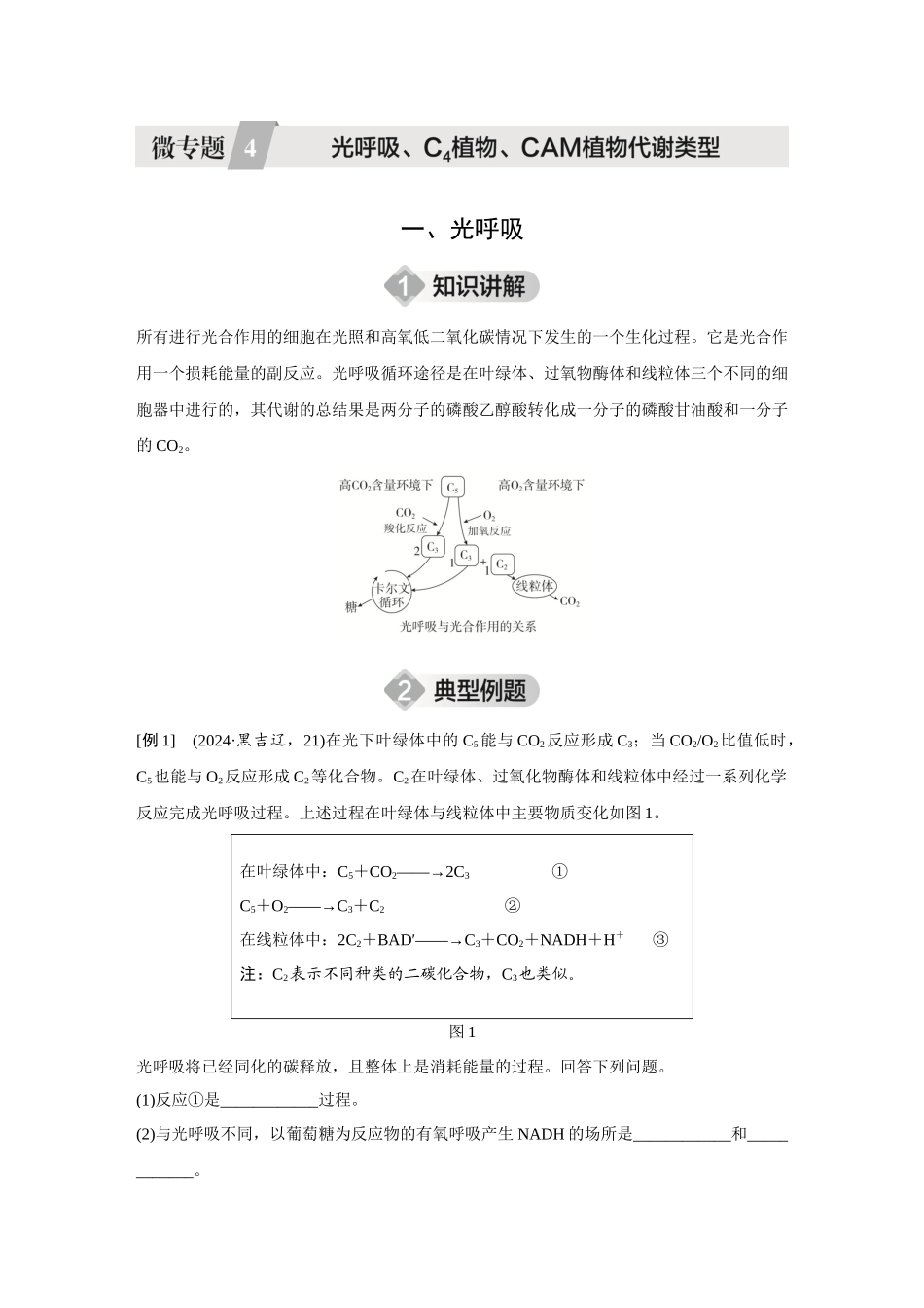 2026《金版教程》高考复习方案生物创新不定项版-微专题4  光呼吸、C4植物、CAM植物代谢类型.docx_第1页