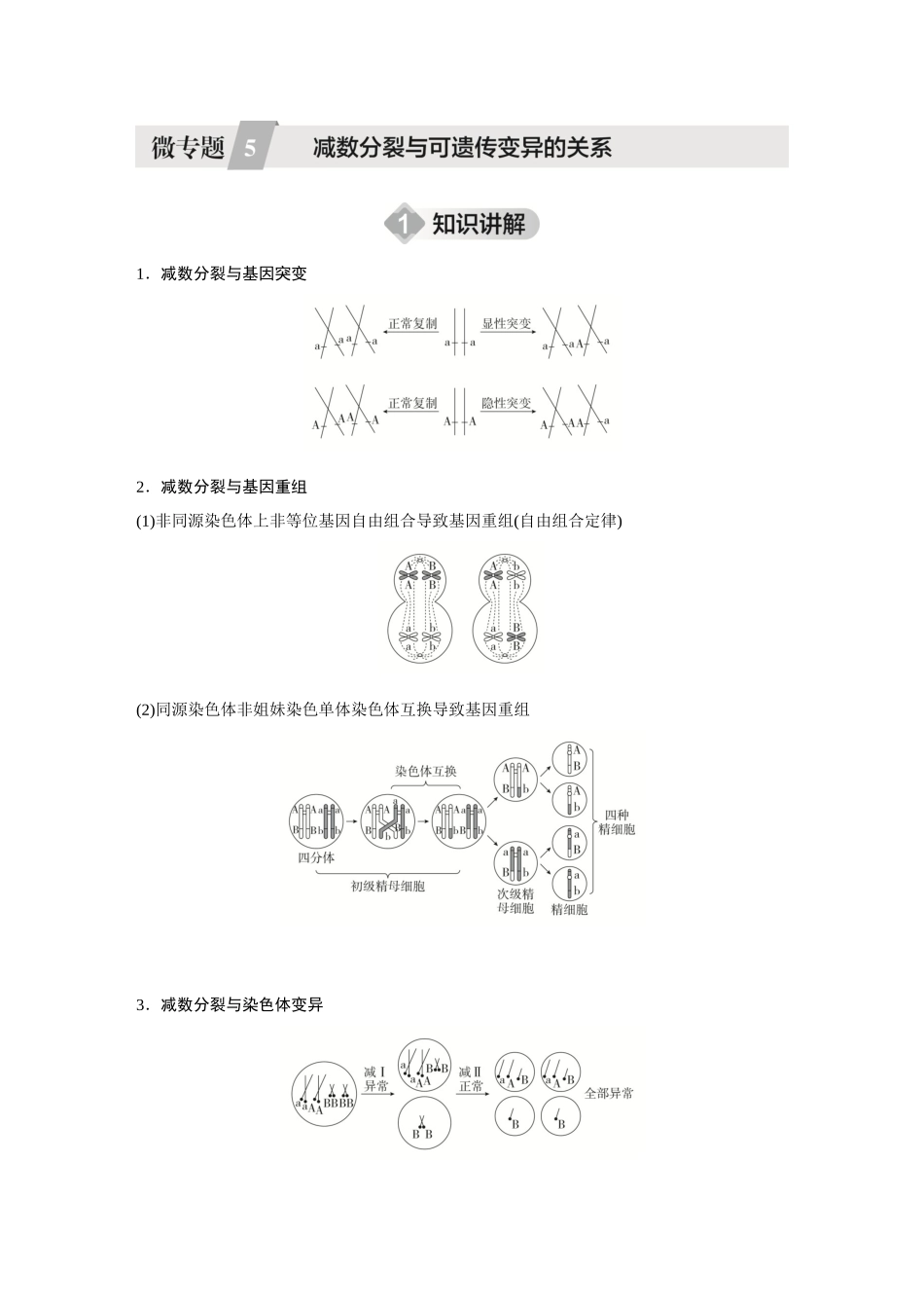 2026《金版教程》高考复习方案生物创新不定项版-微专题5 减数分裂与可遗传变异的关系.docx_第1页