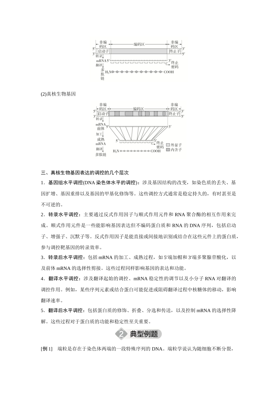 2026《金版教程》高考复习方案生物创新不定项版-微专题7 冈崎片段和基因表达的调控.docx_第2页