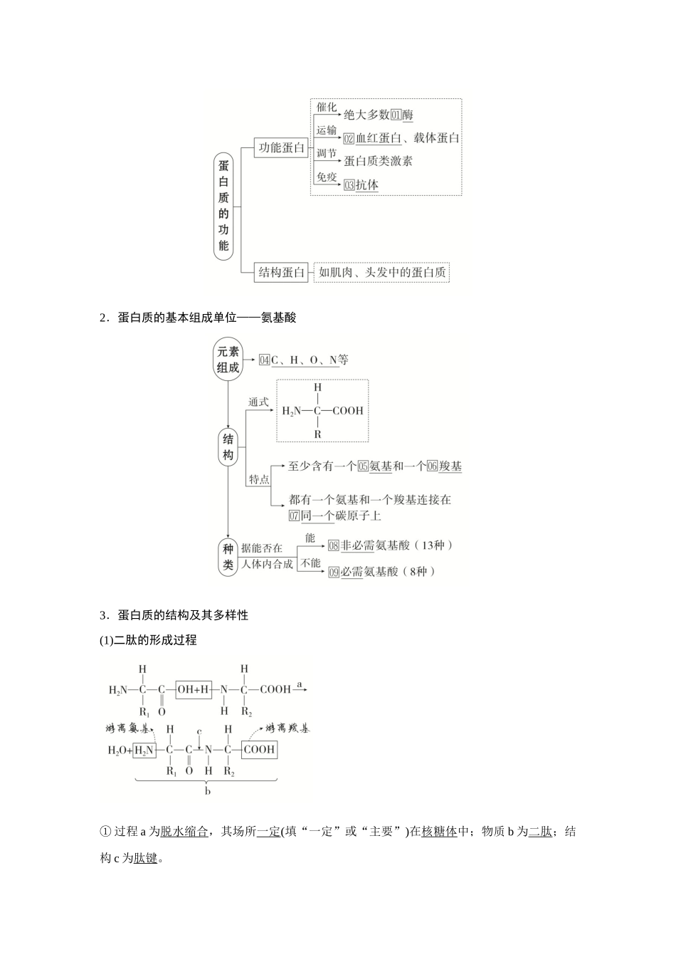 2026《金版教程》高考复习方案生物创新多选版-第3讲 蛋白质和核酸.docx_第2页