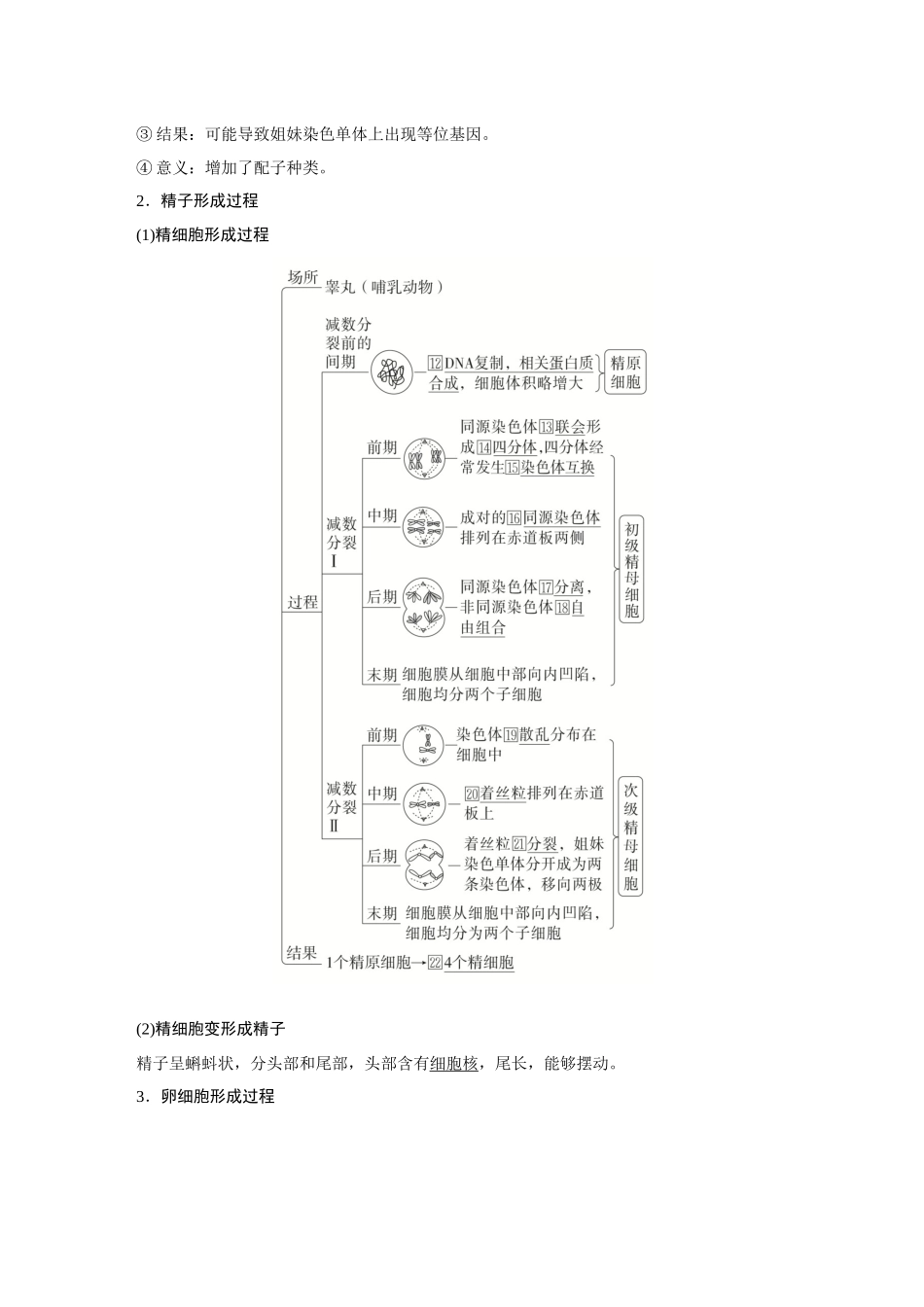 2026《金版教程》高考复习方案生物创新多选版-第11讲 减数分裂和受精作用.docx_第3页
