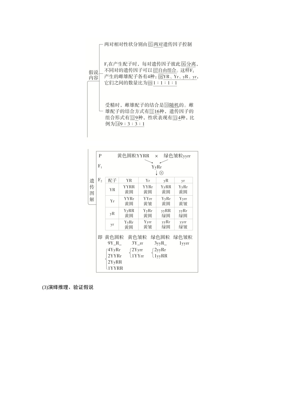 2026《金版教程》高考复习方案生物创新多选版-第14讲 基因的自由组合定律.docx_第2页