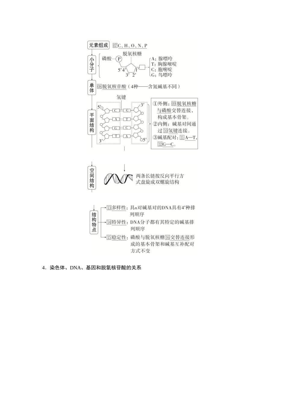 2026《金版教程》高考复习方案生物创新多选版-第17讲 DNA分子的结构、复制及基因的本质.docx_第3页