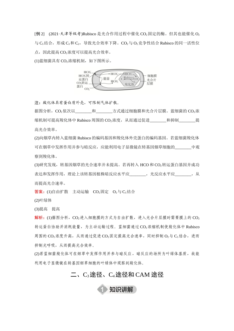 2026《金版教程》高考复习方案生物创新多选版-微专题4  光呼吸、C4植物、CAM植物代谢类型.docx_第3页