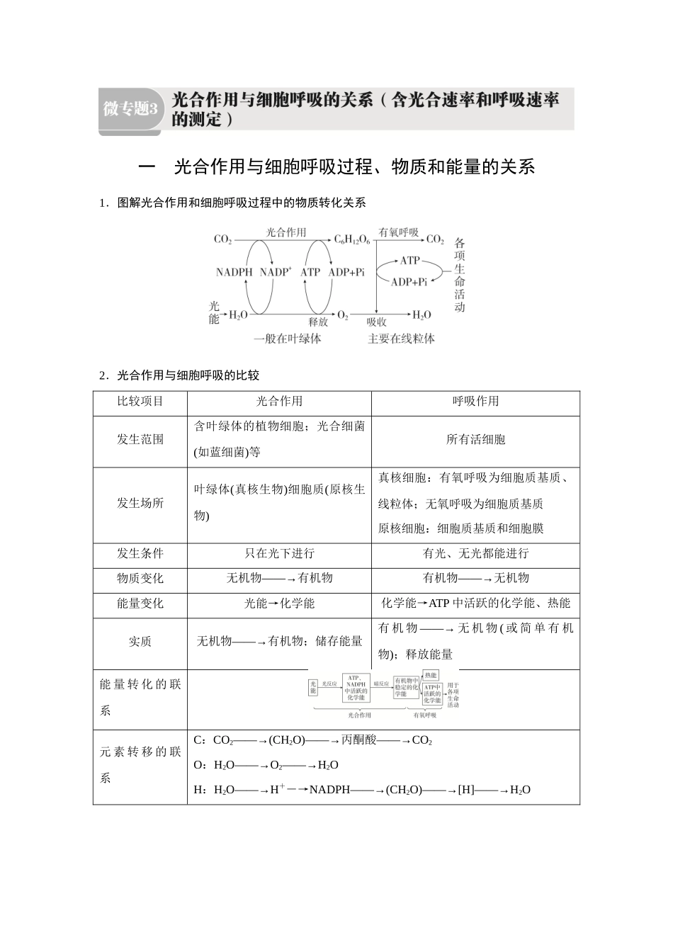 2026《金版教程》高考复习方案生物经典不定项版-第二单元  微专题3  光合作用与细胞呼吸的关系(含光合速率和呼吸速率的测定).docx_第1页